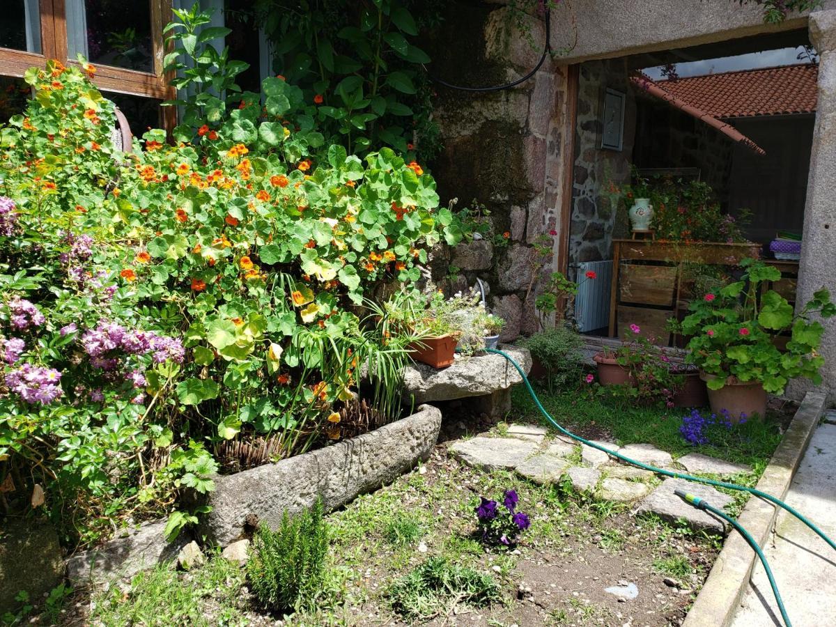 Casa Rural Do Fontan Pension Comarca de Comarca de Pontevedra Buitenkant foto